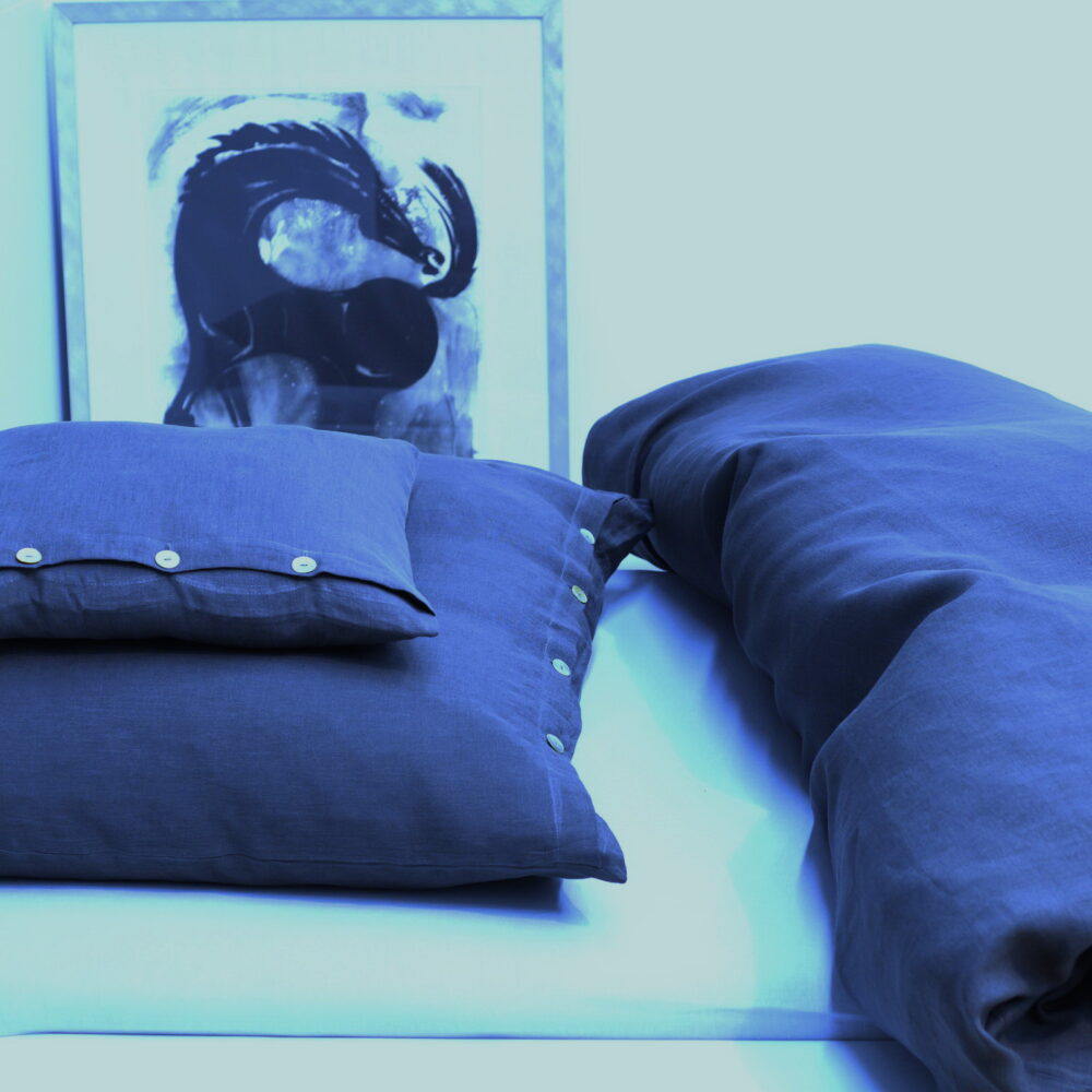 Traumflachs Loft in marine